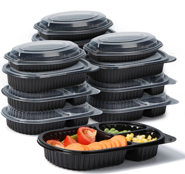 disposable lunch boxes