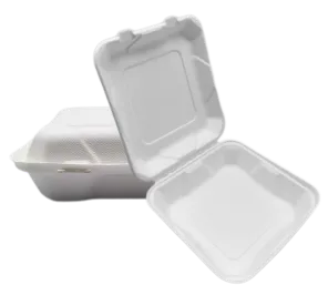 8'' Bagasse To Go matarílát