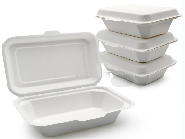 Bagasse To Go ílát með lokum