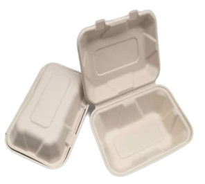 To Go ílát Einnota Bagasse